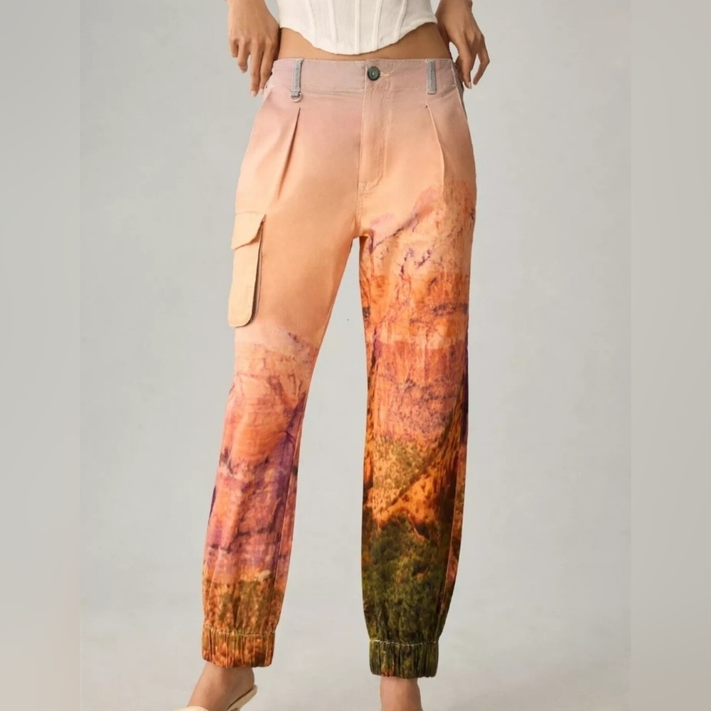 Pilcro Relaxed Low-Rise Chino Pants Size 31 NWT Pink Combo Anthropologie